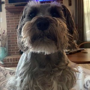 Meet your Posher, Addison